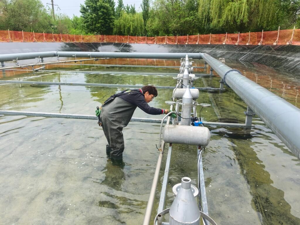 Проект строительства музыкального фонтана в Таджикистане 5 fountain maintenance